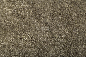 Ковролин Condor Masquerade Elegance Elegance 40 фото 1 | FLOORDEALER